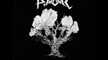 Guiltfeeder - Pythonic