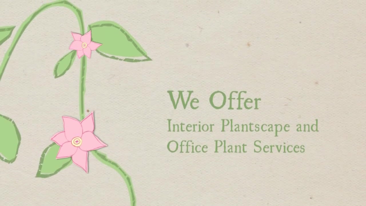 Foliage Design Systems of Palm Beach- Indoor Office Plants Palm Beach