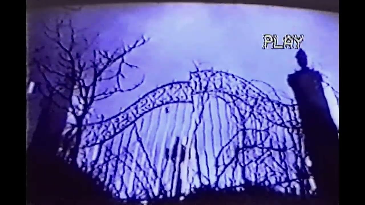 [FREE FOR PROFIT] Psychedelic x Trippy Type Beat - 