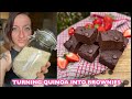 The best vegan chocolate brownie made using quinoa  oil free gluten free  refine sugar free