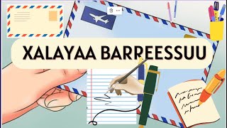 Xalayaa Barreessuu