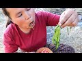 survival in the rainforest - woman cook red fish and Water spinach for dog - Eating delicious