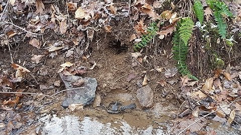 Making Cubbies for Trapping Mink