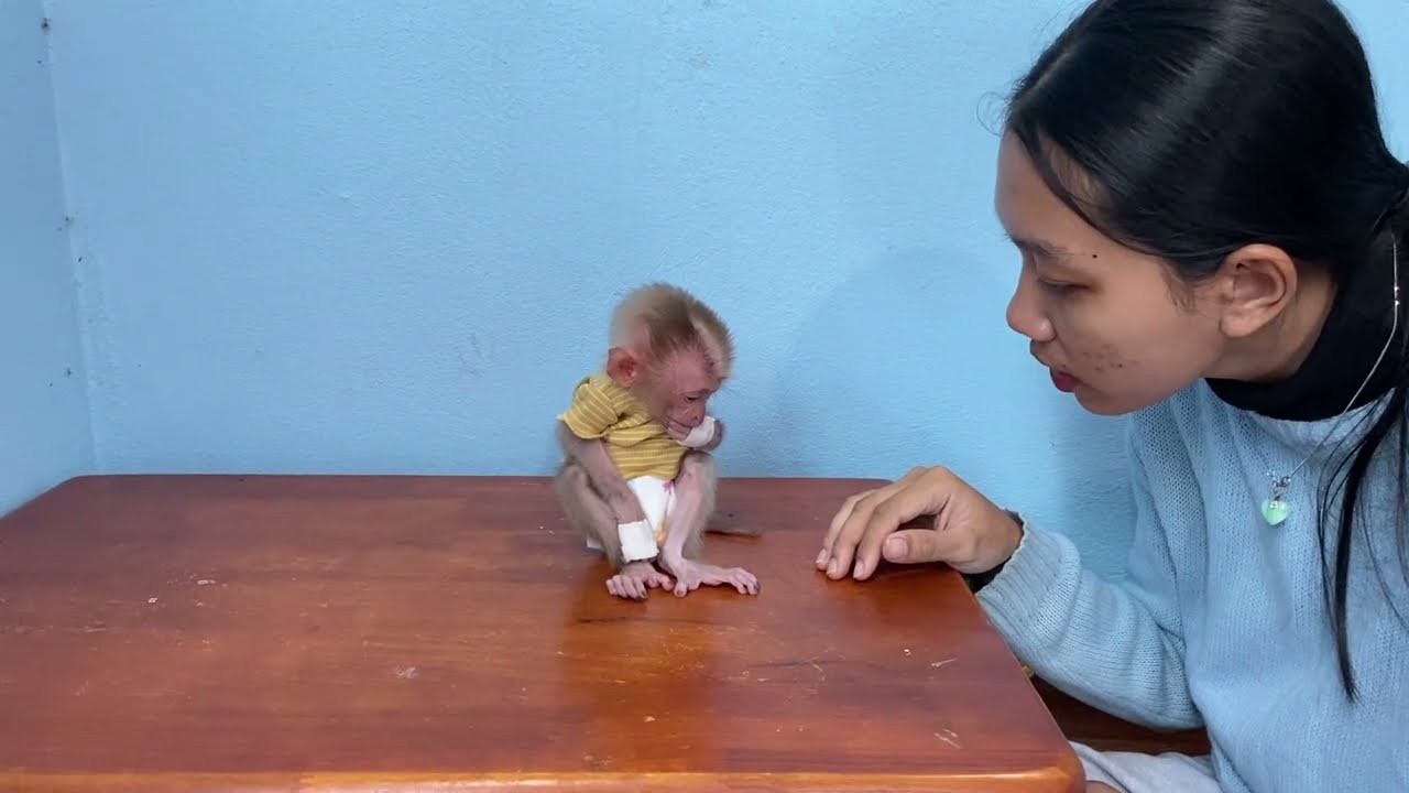 Bbai Mnkey Jasmine Seeem Unhappiily Need Mom Comfy