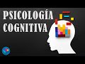 Para qué sirve la psicología cognitiva