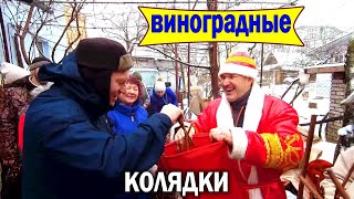 🔴🔴Бесплатные Черенки Винограда. Виноградные Колядки. Глинтвейн.