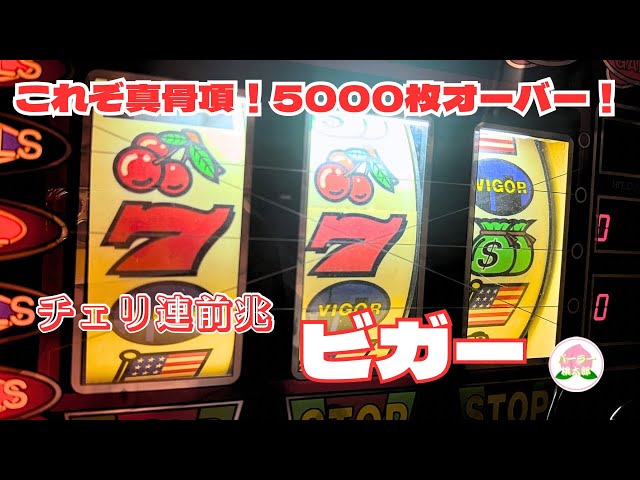 爆連】ビガー！チェリ連前兆をたっぷりお見せします！ #4号機 #裏物
