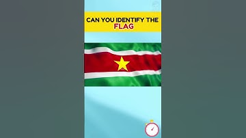 Can you Identify the name of the country from its flag 🚩🚩#shorts #flagquiz