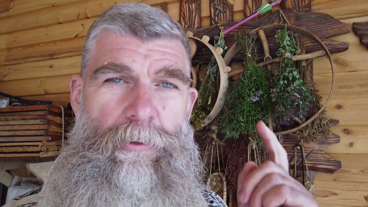 Проект живая баня иван бояринцев