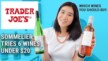 Trader Joes Wine Review | What Wine to Buy