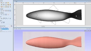 Vectric V8 Tutorials - Trout 3D Modeling