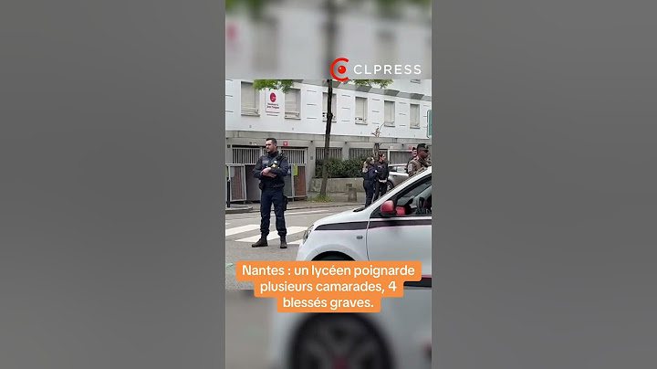 Nantes : UN LYCÉEN TUE au couteau un camarade et en poignarde 3 autres au lycée Toutes Aides
