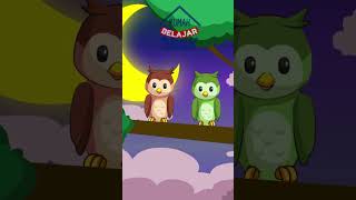 Lagu Anak Burung Hantu