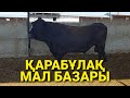 Қарабұлақ мал базары Түркістан обл.