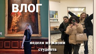 влог: обычные будни, семинар, поход в эрмитаж