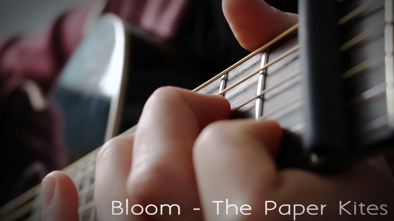 Bloom The Paper Kites Guitar Cover YouTube