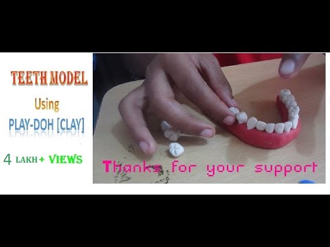클레이 (play-doh)를 이용한 아주 쉬운 치아 모형 만들기-VISHNU HARIDASS