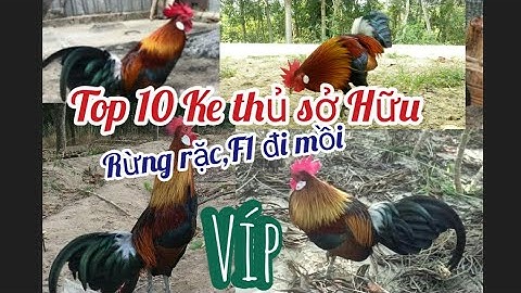 Top 10 Kê Thủ Thuần và sở hữu Rừng rặc,F1 đi mồi hay.