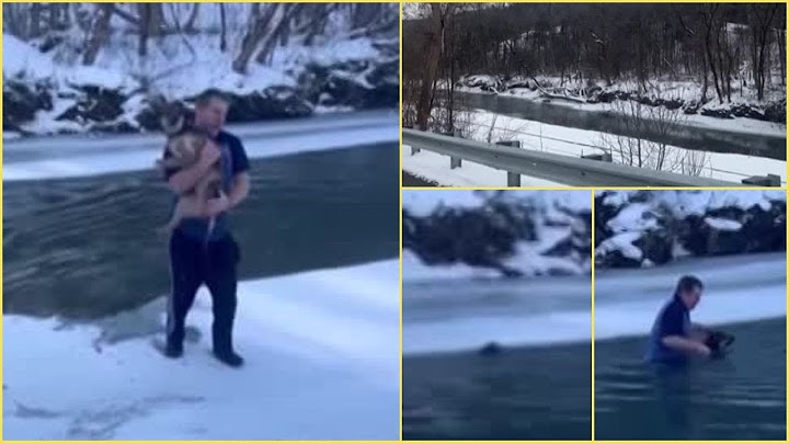 Man's dramatic rescue of dog from freezing river in Vermont caught on video