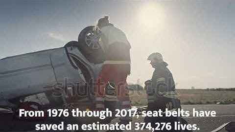 MSP1701 Class Assignment - “Buckle Up” Video-PSA