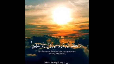 {مَا لَكُم مِّن دُونِهِ مِن وَلِيٍّ وَلَا شَفِيعٍ ۚ} 🌹🙏 تلاوة خاشعة للقارئ عبدالرحمن مسعد♥️