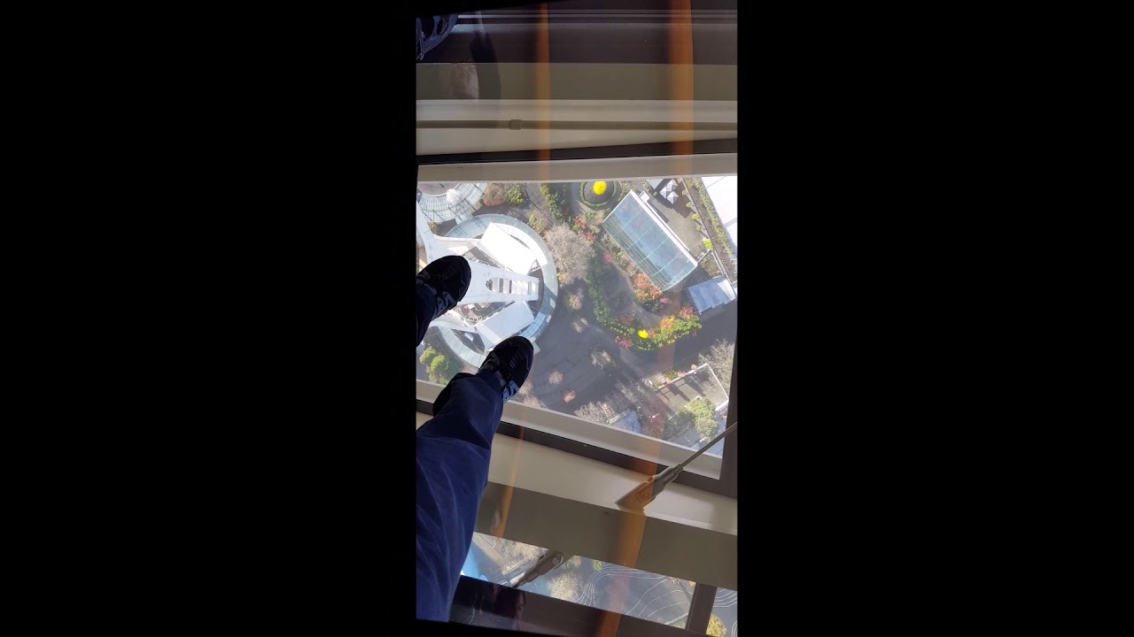 Space Needle Loupe YouTube