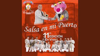 Video thumbnail of "ZAPEROKO La Resistencia Salsera del Callao - Señora Ley (En Vivo)"