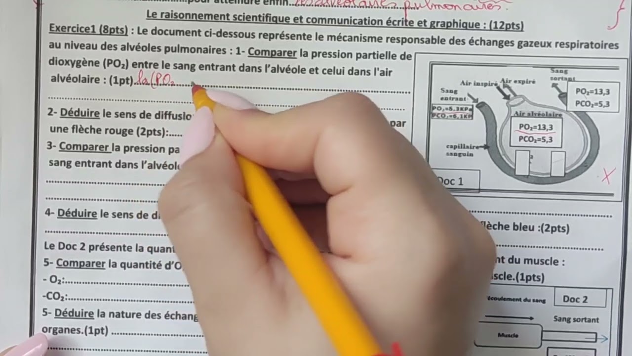 Examen Normalisé Local #SVT# 2024 تصحيح الموحد المحلي ثالثة إعدادي