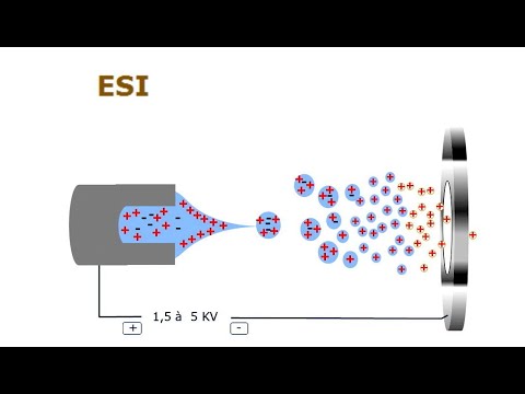 Vidéo: Différence Entre L'ionisation Positive Et Négative En Spectrométrie De Masse