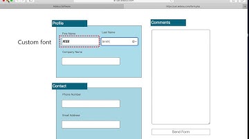 Customize web form entry text font style | Touch Forms Pro 7 For Mac