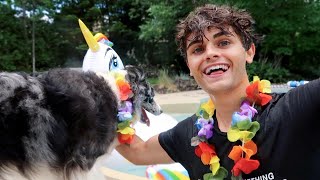 I Threw My Own Pride Parade At Home Couple Edition With Yubo