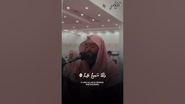 الشيخ وديع اليمني تلاوة خاشعة من سورة البقرة صلاة القيام رمضان ١٤٤٦  هجري