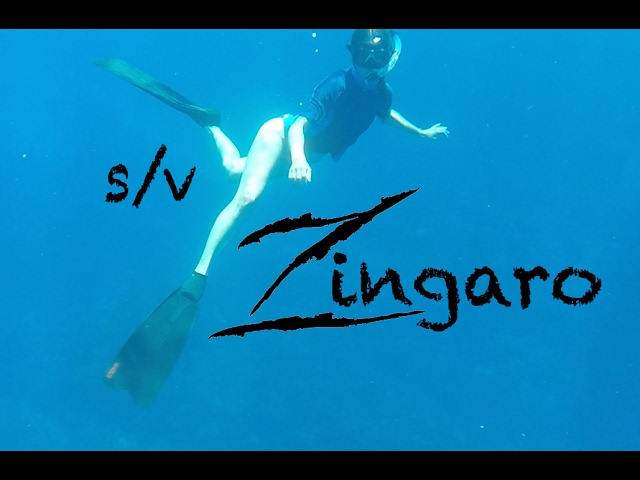 Freediving in the Cayman islands | Sailing Zingaro