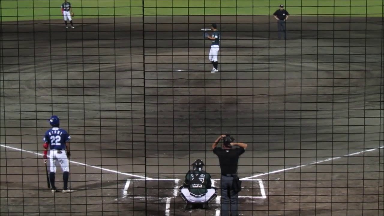 岸 潤一郎 徳島インディゴソックス ドラフト レポート