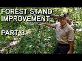 Forest stand improvement with dr craig harper live seminar  part 3