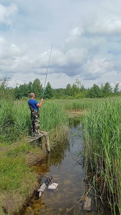 Рыбалка 🎣👍 - YouTube