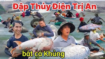 Kinh hoàng cảnh hàng ngàn người đổ xô đi bắt cá Khủng khi thủy điện Trị An đóng đập xả lũ 