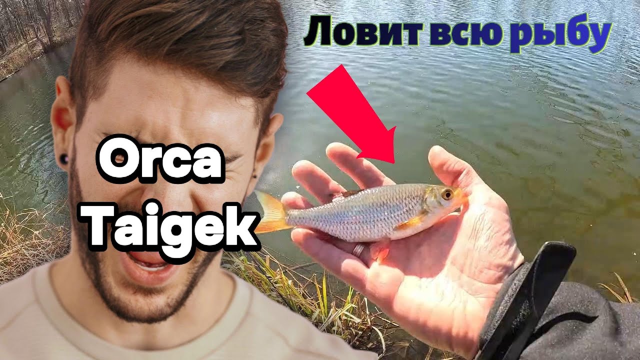 ТЕЛЕСКОПИЧЕСКИЙ Ультралайт с Aliexpress за КОПЕЙКИ! 🎣 Ловит любую рыбу?🐟🔥”Taigek S602ULF в деле!