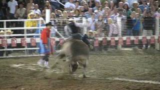 Strawberry Days Rodeo - Bull Riding