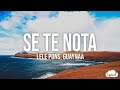 Se Te Nota - Lele Pons &amp; Guaynaa (Lyrics/Letra)