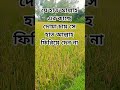 #bayan #new #islamicknowledg #youtube #nature #motivation #waj #shortvideo #mijanur_rahman_ajhari