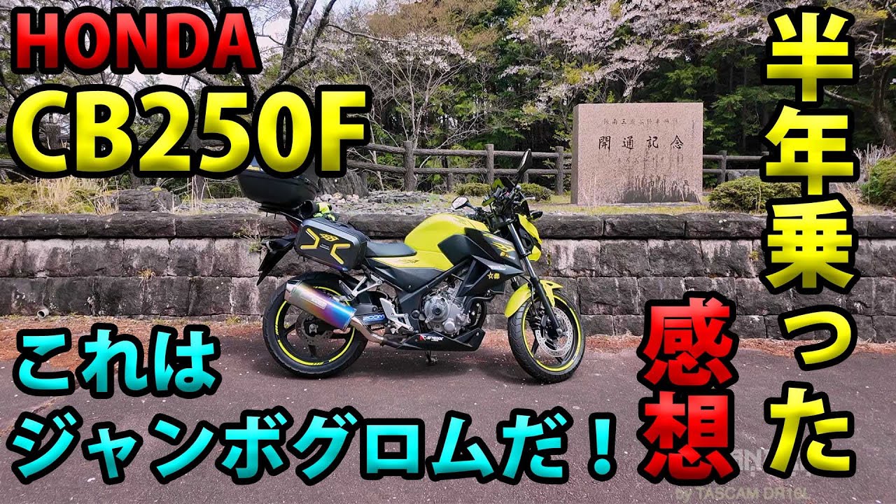 My impressions after riding the CB250F for half a year: It's a