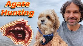 A Rockhound Dream | Lake Superior Agate Hunting! by The Crystal Collector 69,779 views 1 year ago 12 minutes, 51 seconds
