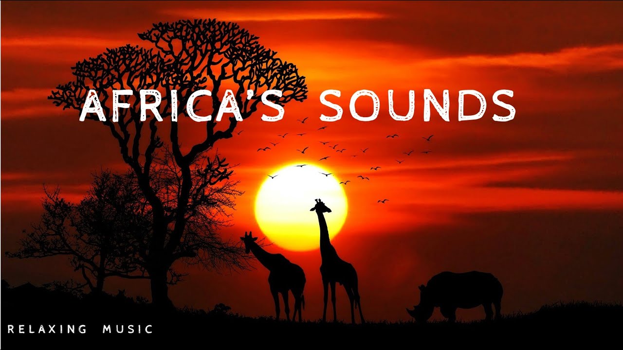Africa's Sounds 🦁🐘, African Music, Relaxing Music, Ambiental Music ...