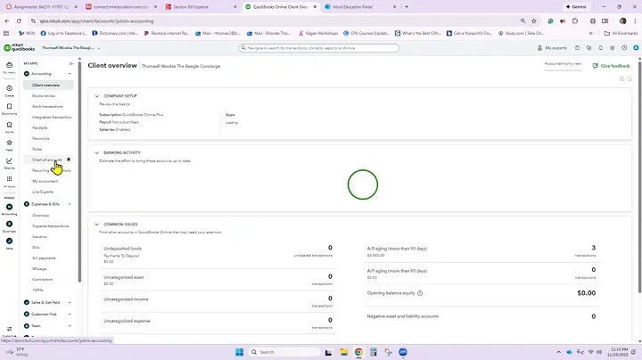 Butler QuickBooks Online Chapter 6 Mookie The Beagle Concierge - Part 1