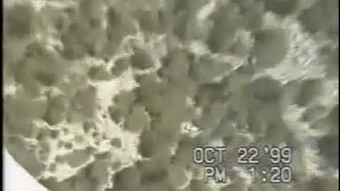 Jan-Davis-Base-Jump-Video-Original / Jan-Davis-Base-Jump-Full-Video