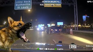 Perp Takes Off From Traffic Stop Gets Pitted K9 Fur Missile Gets A Bite Out Of Crime