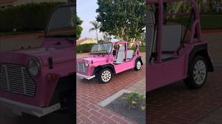 Man posing as Justin Biebers staffer stole buggies, business owner says