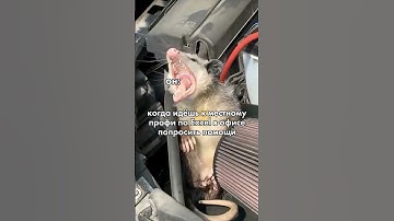 Когда идёшь к коллеге просить помощи в Excel #excel #юмор #сотрудник