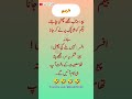 Boss Ne Chhutti Deny Ki… Aur Peon Khush Ho Gaya 😂 #FunnyVideo #HusbandWife #OfficeJokes #kashifryk6